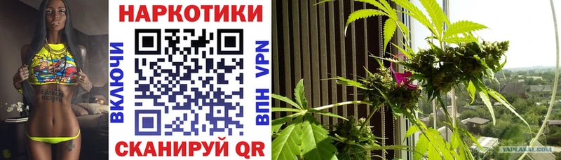 Купить наркотики цена Улан-Удэ Alpha PVP КОКАИН АМФ mega рабочий сайт Канабис Гашиш Меф мяу мяу