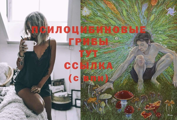 прущая мука Магадан