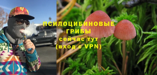 амф Магас