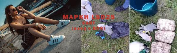 амф Магас