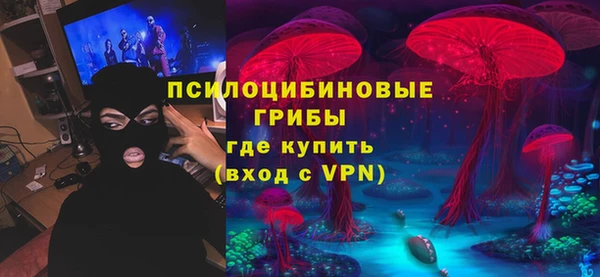 PSILOCYBIN Бугульма