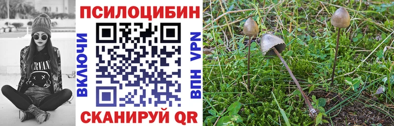 Псилоцибиновые грибы мицелий наркота Улан-Удэ