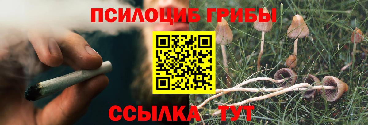 Галлюциногенные грибы мицелий  Вход с VPN  Улан-Удэ 