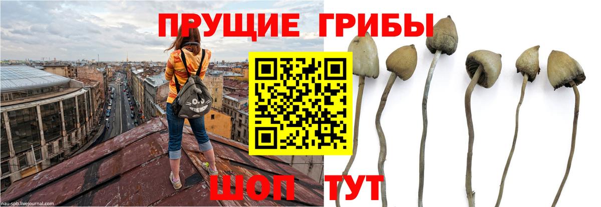 A PVP СК   Каннабис  Мефедрон кристаллы  Codein  Улан-Удэ  Гашиш  Мефедрон  Вход с VPN  ЭКСТАЗИ  Кокаин 
